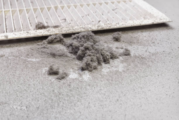 Best Best Air Duct Cleaning Company  in Lyman, MS